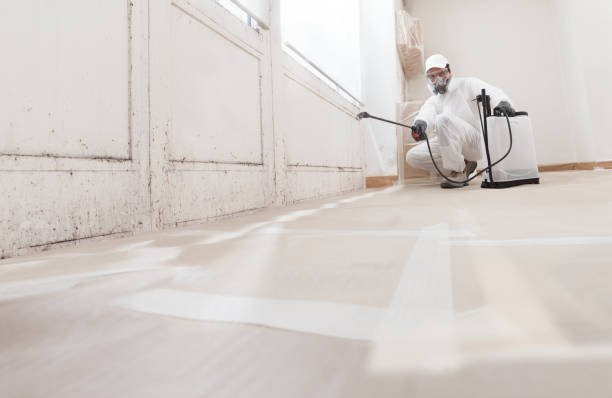 Black mold remediation team in Trappe